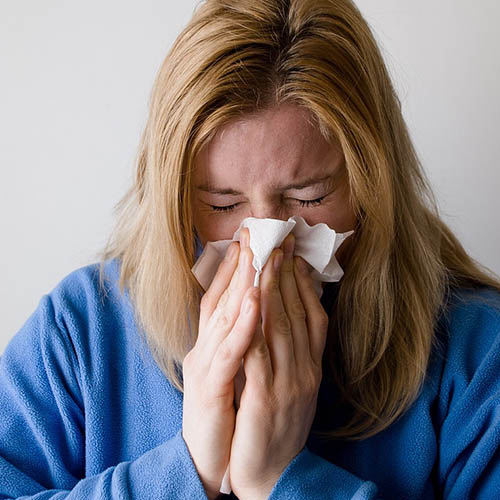 Vue interieure de la Pharmacie Garenne Trivaux
